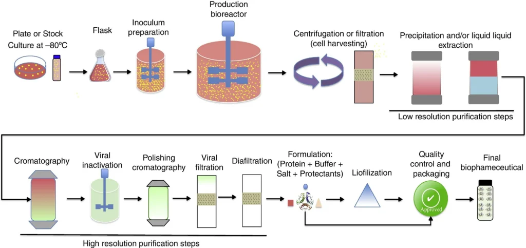 Full SPPS process from resin attachment to purification and analysis